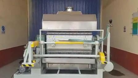 Equipo de moldeo de bandejas de pulpa para huevos/bandejas de frutas/bandejas para zapatos
